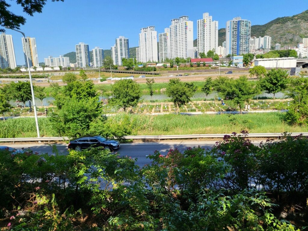 뚝방길에서 찍은 하늘과 주변 풍경