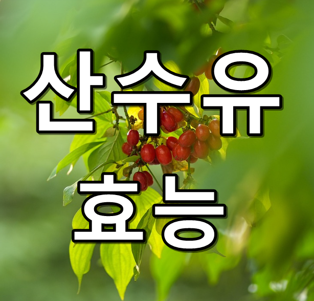 산수유 효능 텍스트 썸네일