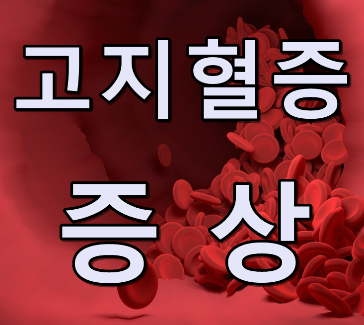 고지혈증 증상 텍스트 썸네일